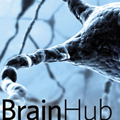 BrainHub Image