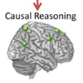 Brain Processes
