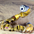 SnakeBot and Sand