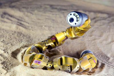 SnakeBot and Sand