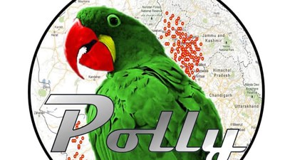 Polly logo