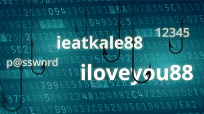 Password