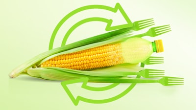 Corn graphic