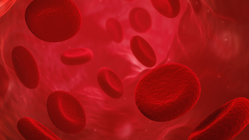 Red blood cells