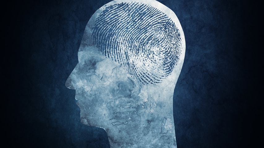 Brain Fingerprint
