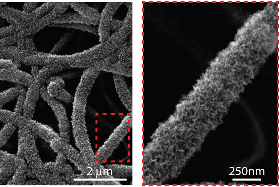 Scanning electron microscope image of graphene grown in 3-D, or “fuzzy graphene.”