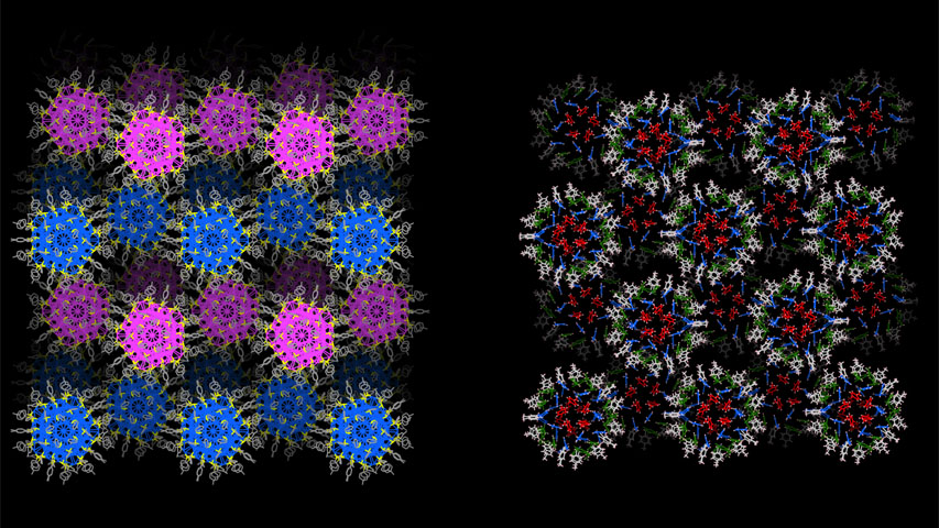 Figure 1 shows gold nanoparticles assembly