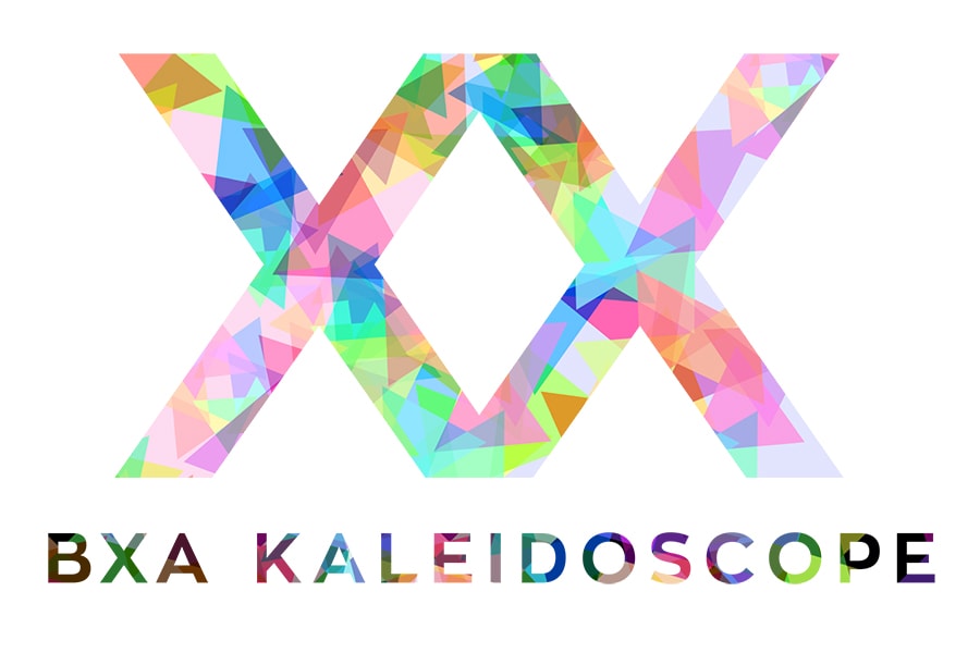 Image of Kaleidoscope logo