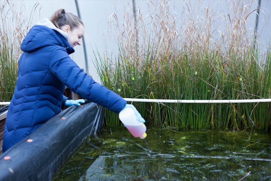 Student pouring a solution with nanoparticles from a container