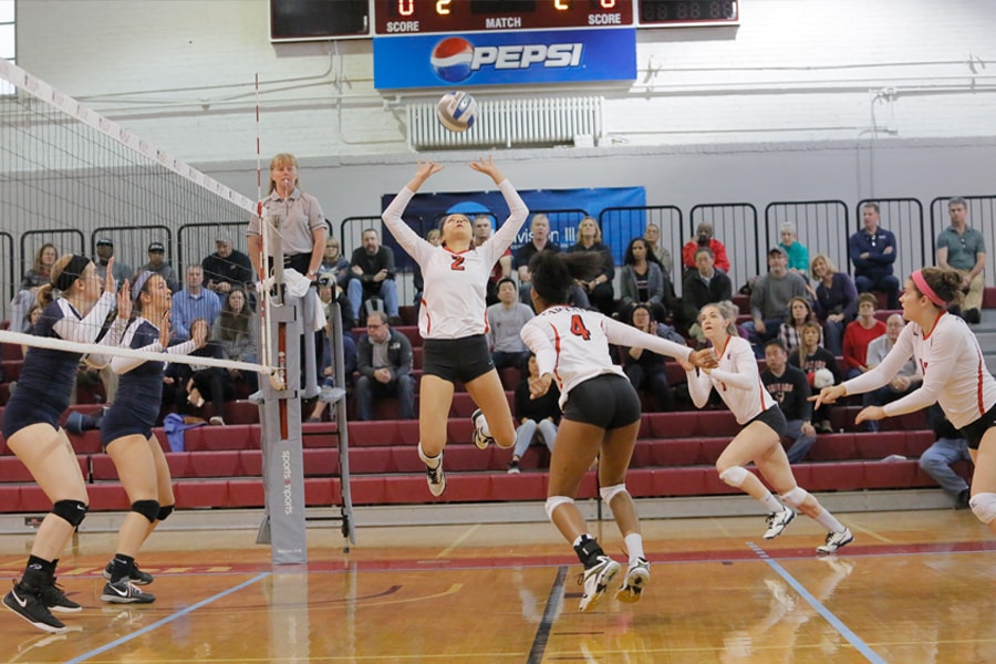 Image of volleyball team