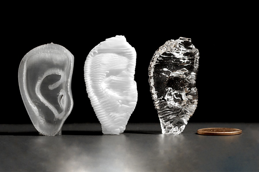 Image of 3D printed ears