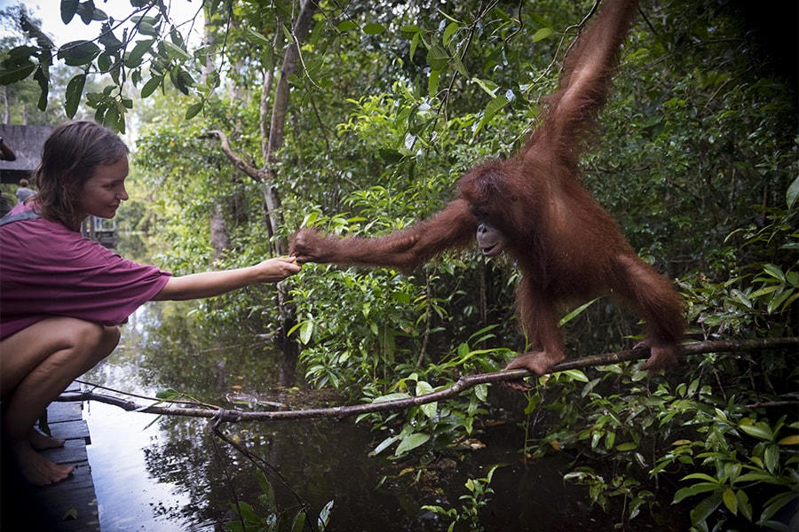 Image of woman and orangutan