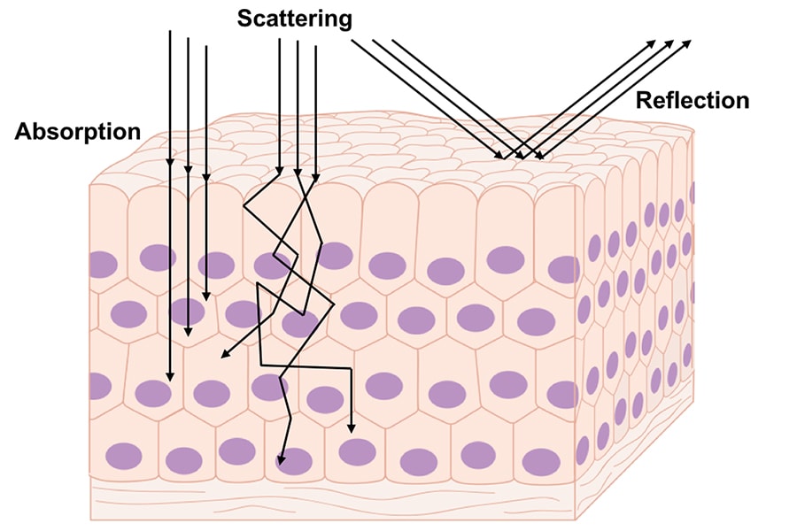 Graphic showing how light goes through the skin