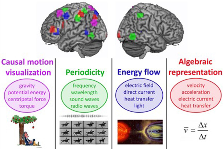 Infographic of brain activity