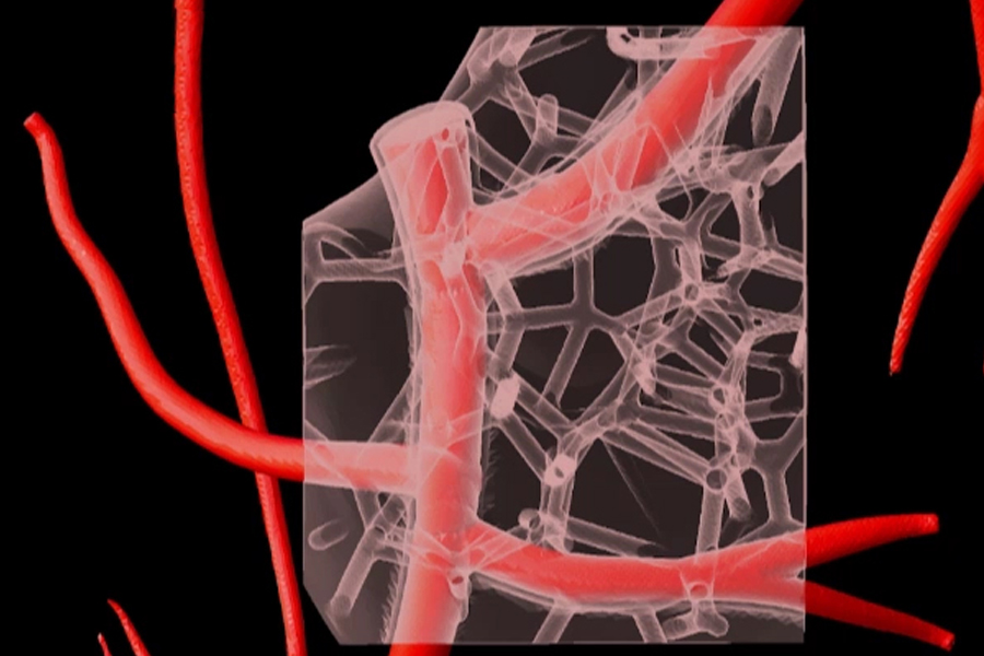 3d-bioprinting-heart-tissue-900x600.jpg
