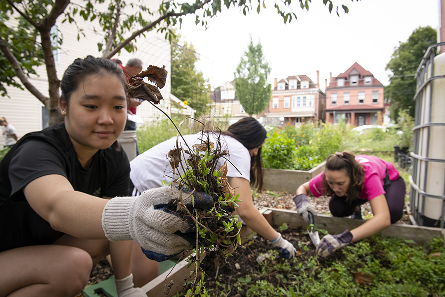 A photo of students weeding