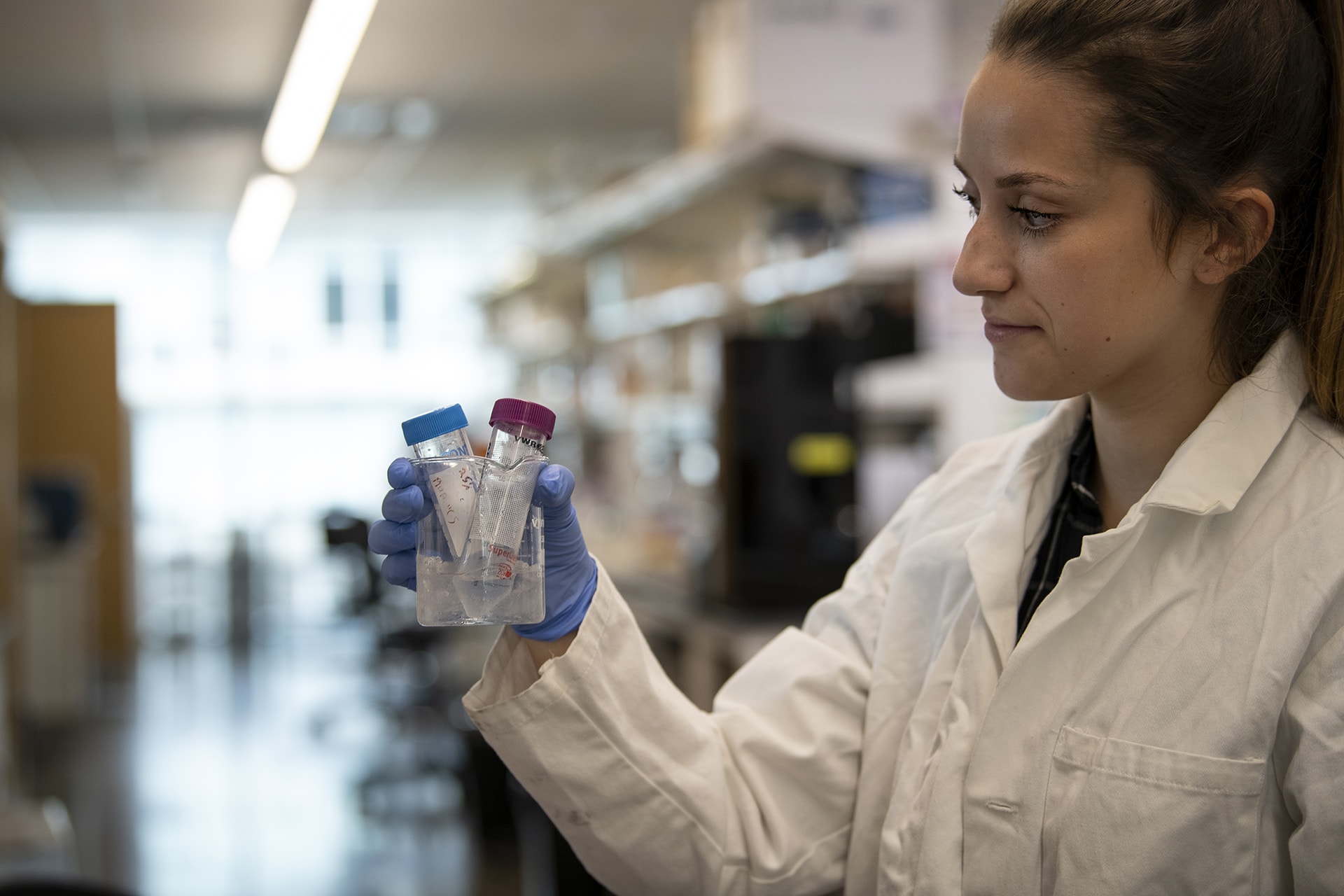 undergraduate-ressearch-cook-lab-1920x1280-min.jpg