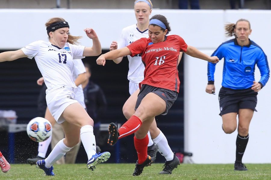 A photo of soccer action