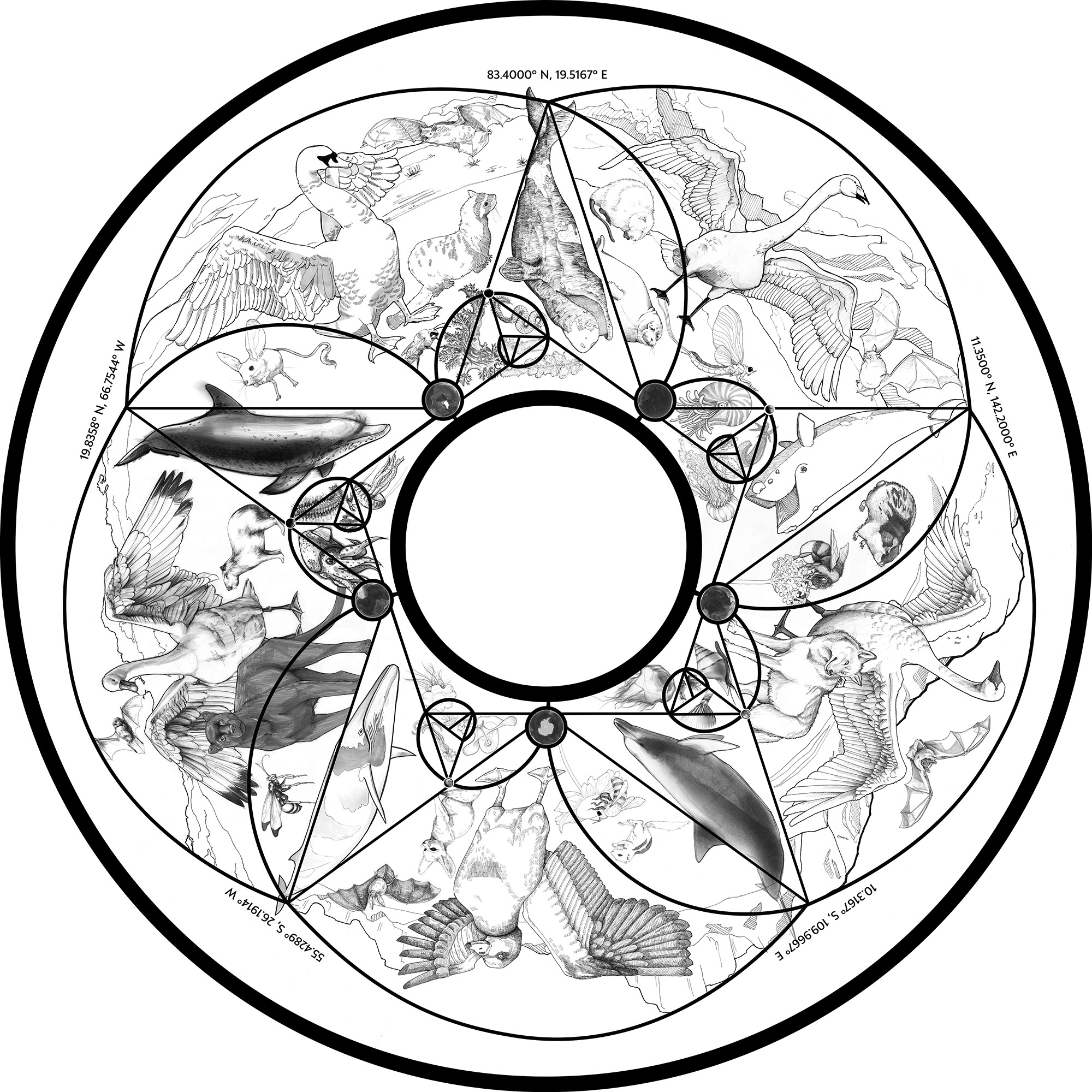 moonark-disk-biodiversity-2000x2000.jpg