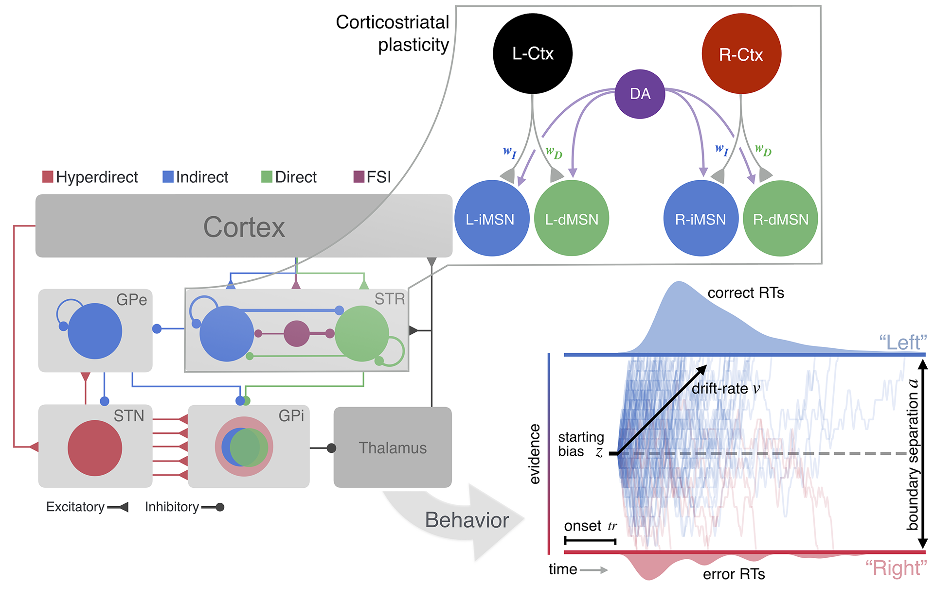 Frontiers Decision Making as a Learned Skill in Mice and Humans