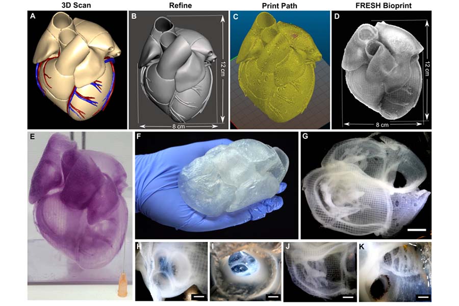 Modeling of the 3D printing process