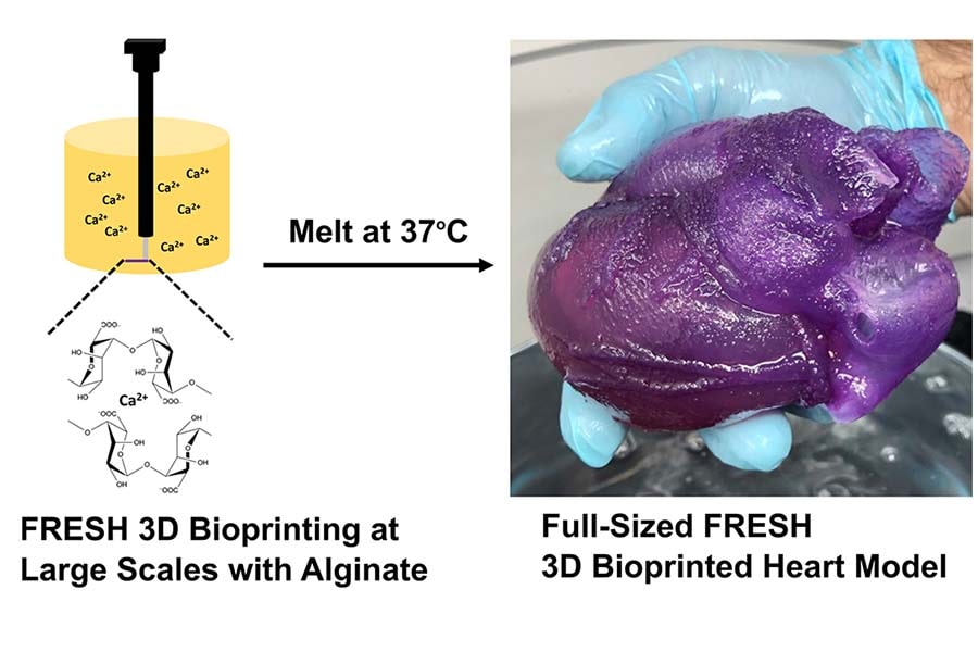 A graphic showing the heart-printing process