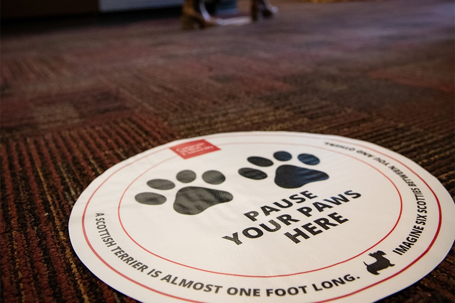 image of the Pause Your Paws Here decal secured on floors