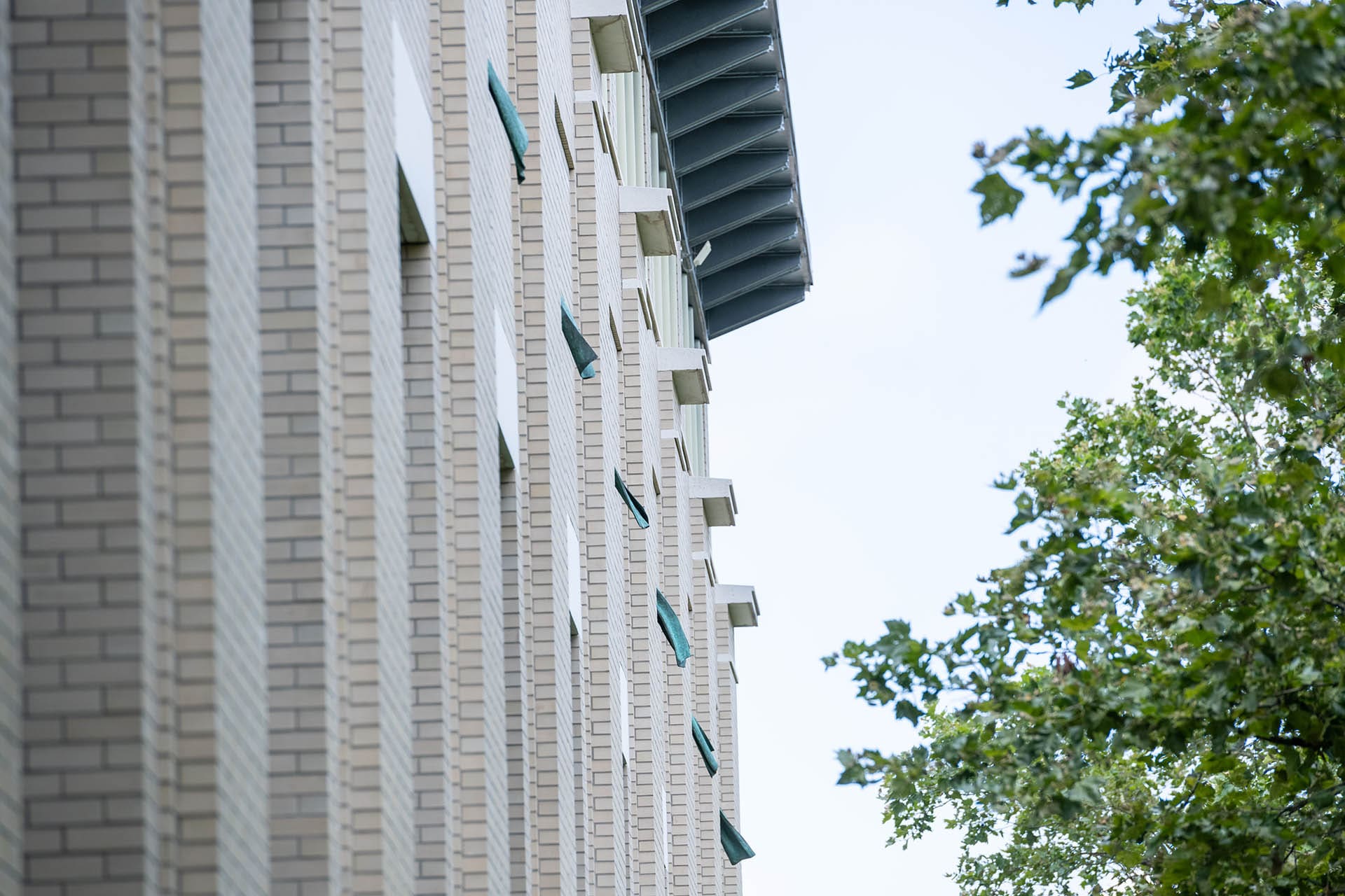 Bronze curtains waving