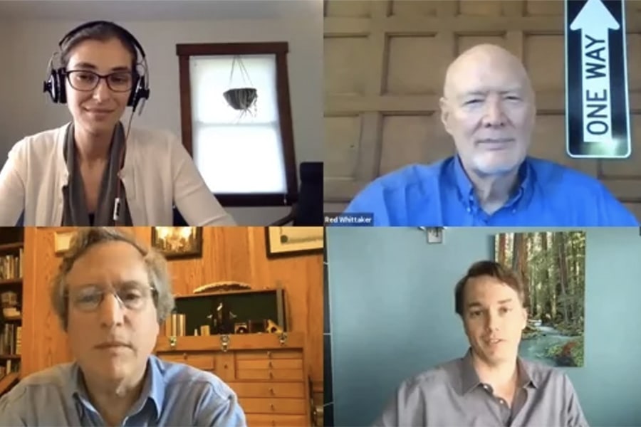 A screen grab of an online panel discussion