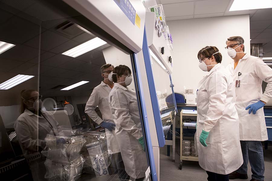 A photo of lab workers conducting a test