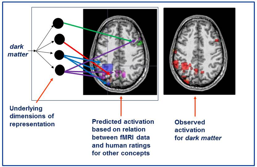 One brain scan shows spots of dark matter that are used to identify underlying dimensions of representation, predicted activation based on relation between fMRI data and human rating for other concepts. A second brain scan shows observed activation of dark matter.