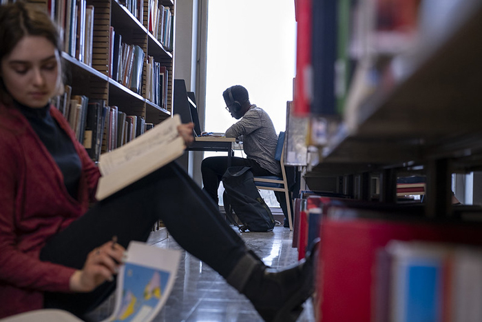 Students studying in the library