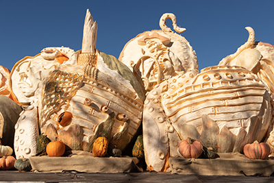 Giant pumpkins with artistic carvings