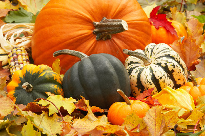 Orange and green pumpkins and fall leaves