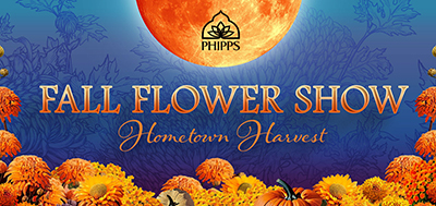 Event poster with the moon and flowers, and text fall flower show