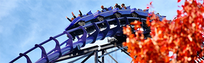 Image of a rollercoaster with red leafs