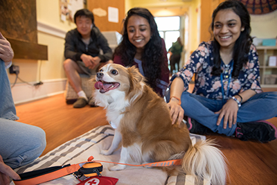 Image of three students with a therapy dog in the mindfulness room