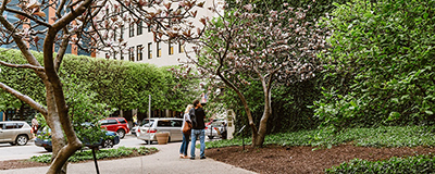 Picture of the magnolias sculptures