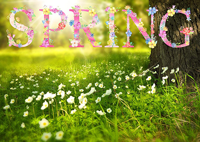 Picture of a field of flowers and the word Spring in floral lettering