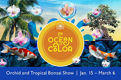 Event poster featuring koi fish and tropical flowers with Phipps logo and text An Ocean of Color, Orchid and Tropical Bonsai Show Jan. 15 - March 6