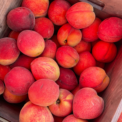 Image of peaches in a crate