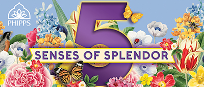 Event poster with drawings of various colorful flowers, and a large number five, and text that reads senses of splendor