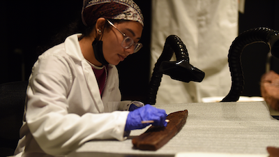 Image of a scientist at a lab table