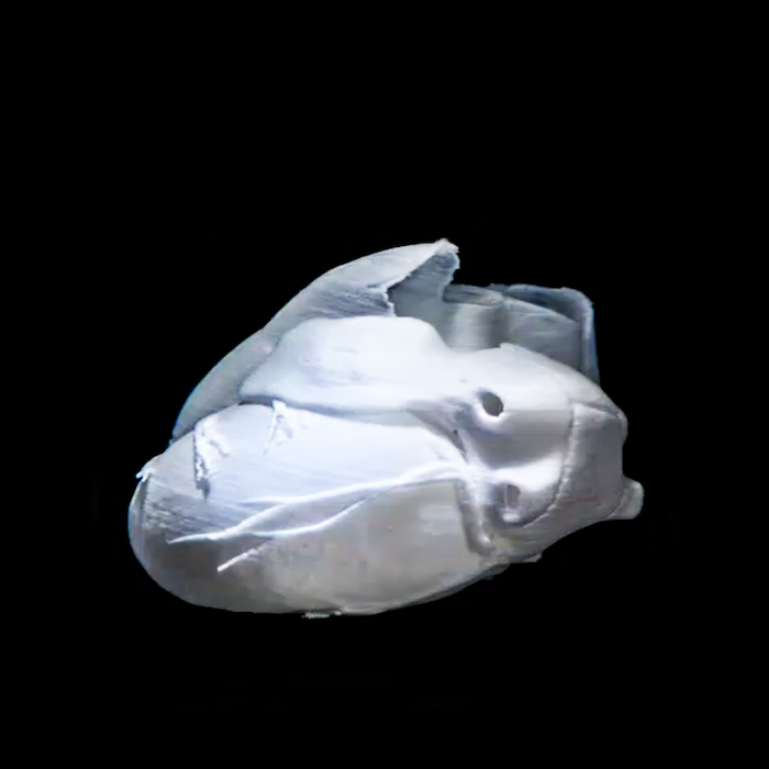image of a 3D bioprinted neonatal scale collagen heart