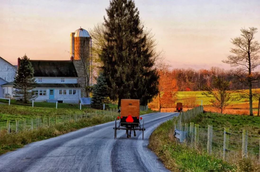 Amish buggy on country road