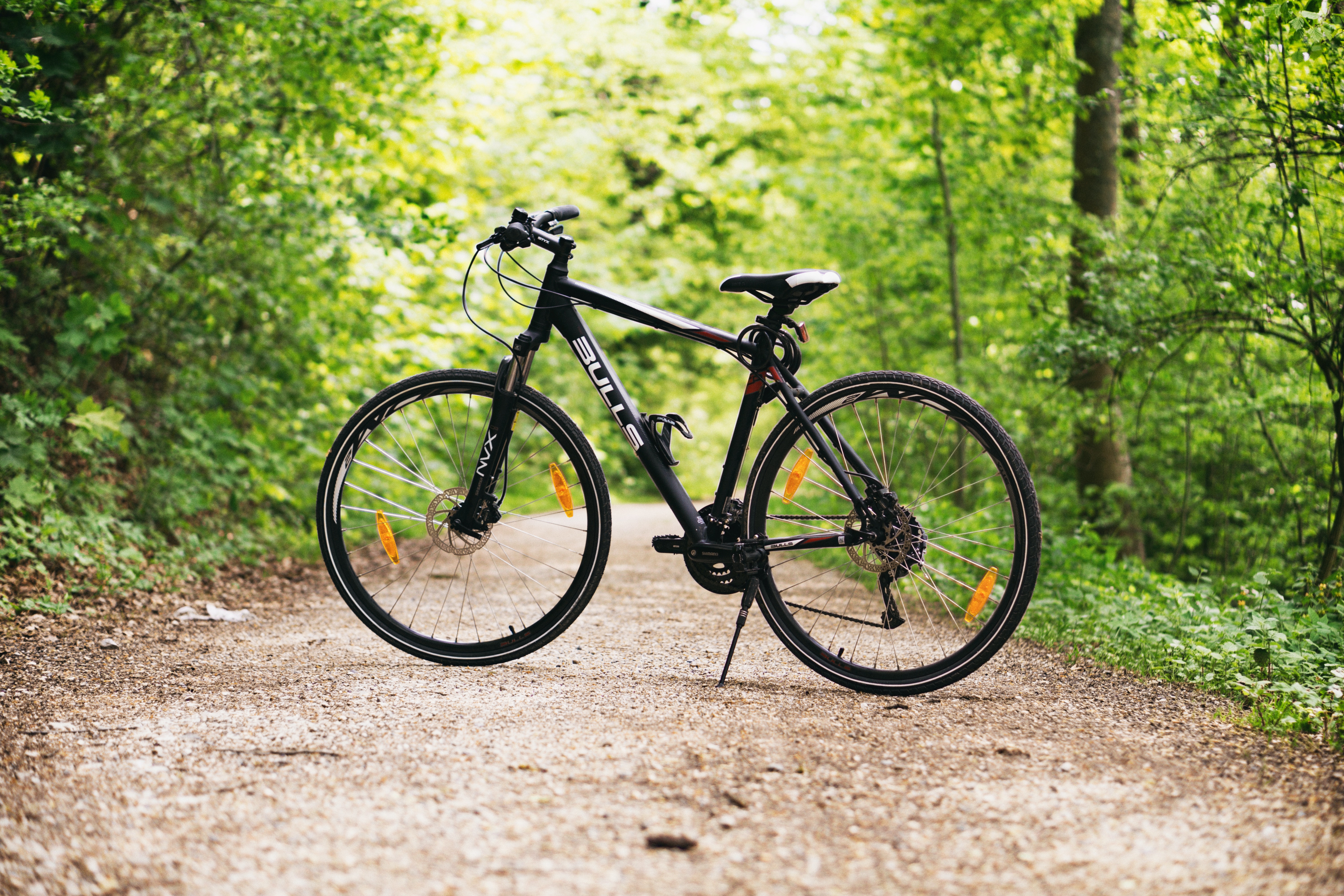 Bike on a trail