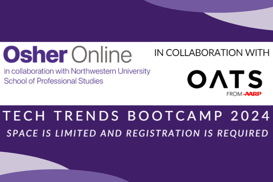 tech bootcamp