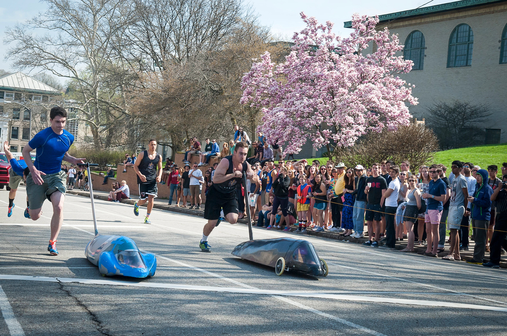 Buggy Races