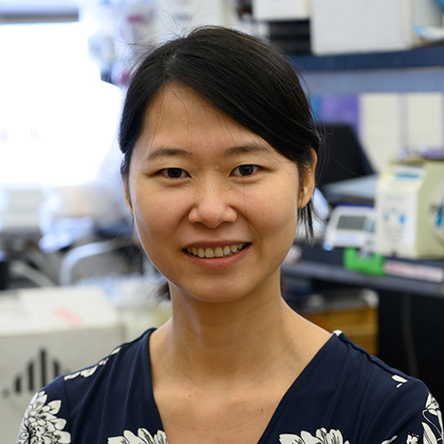 Huaiying Zhang