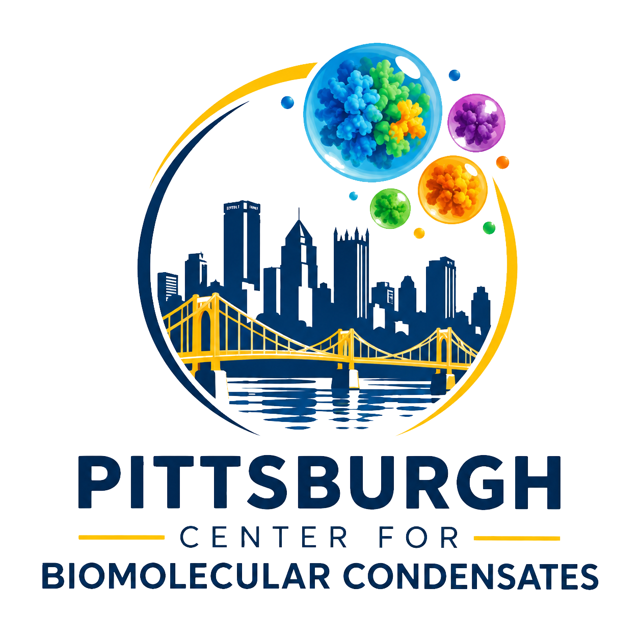 Pittsburgh Center for Biomolecular Condensates Logo